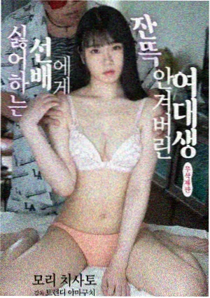 硅谷回声剧集封面